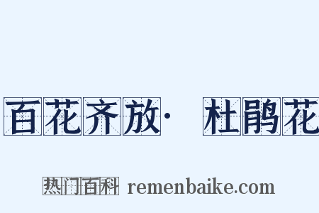 百花齐放·杜鹃花是什么意思的图片